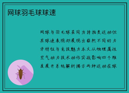 网球羽毛球球速
