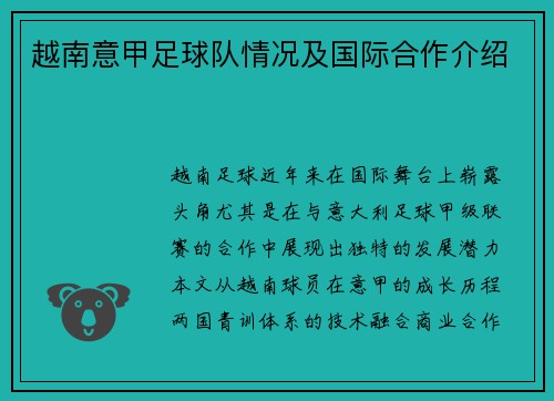 越南意甲足球队情况及国际合作介绍