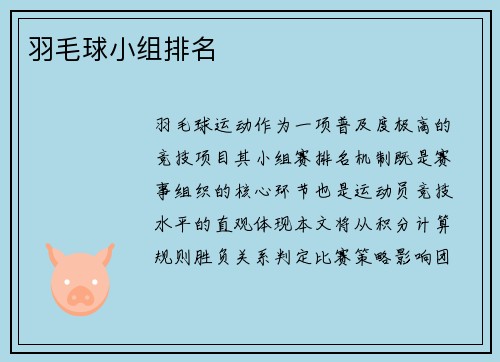 羽毛球小组排名